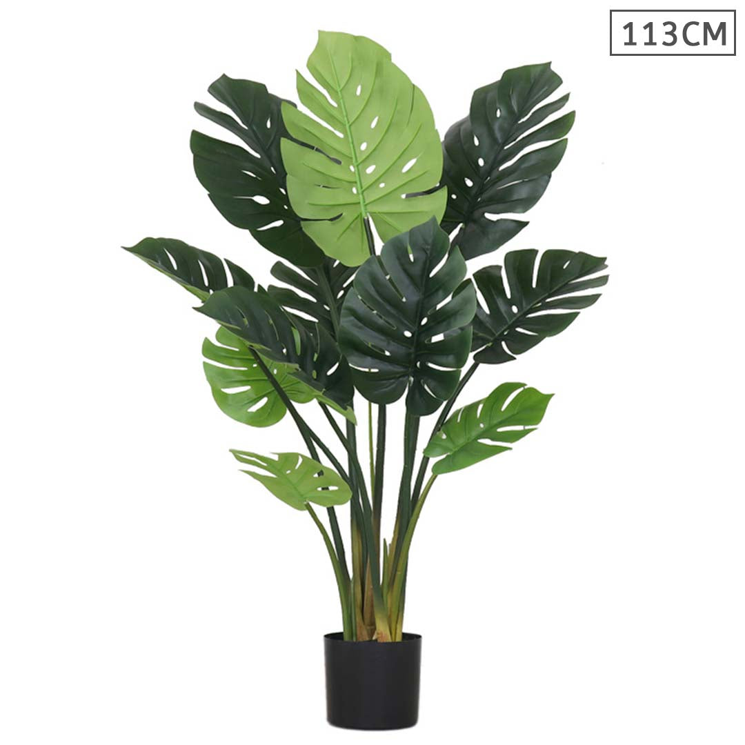 Turtle Back Artificial Plant