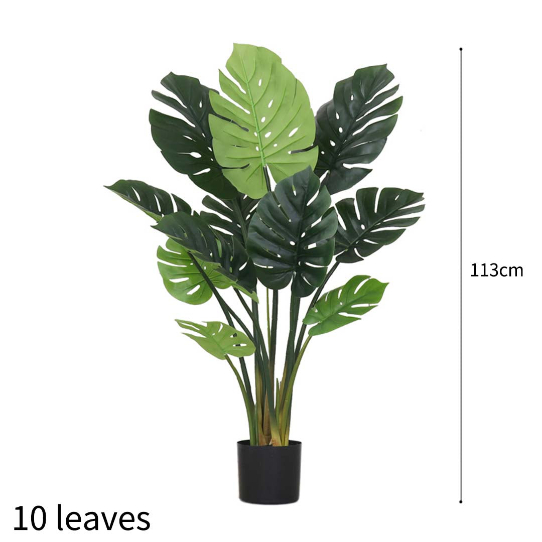 Turtle Back Artificial Plant