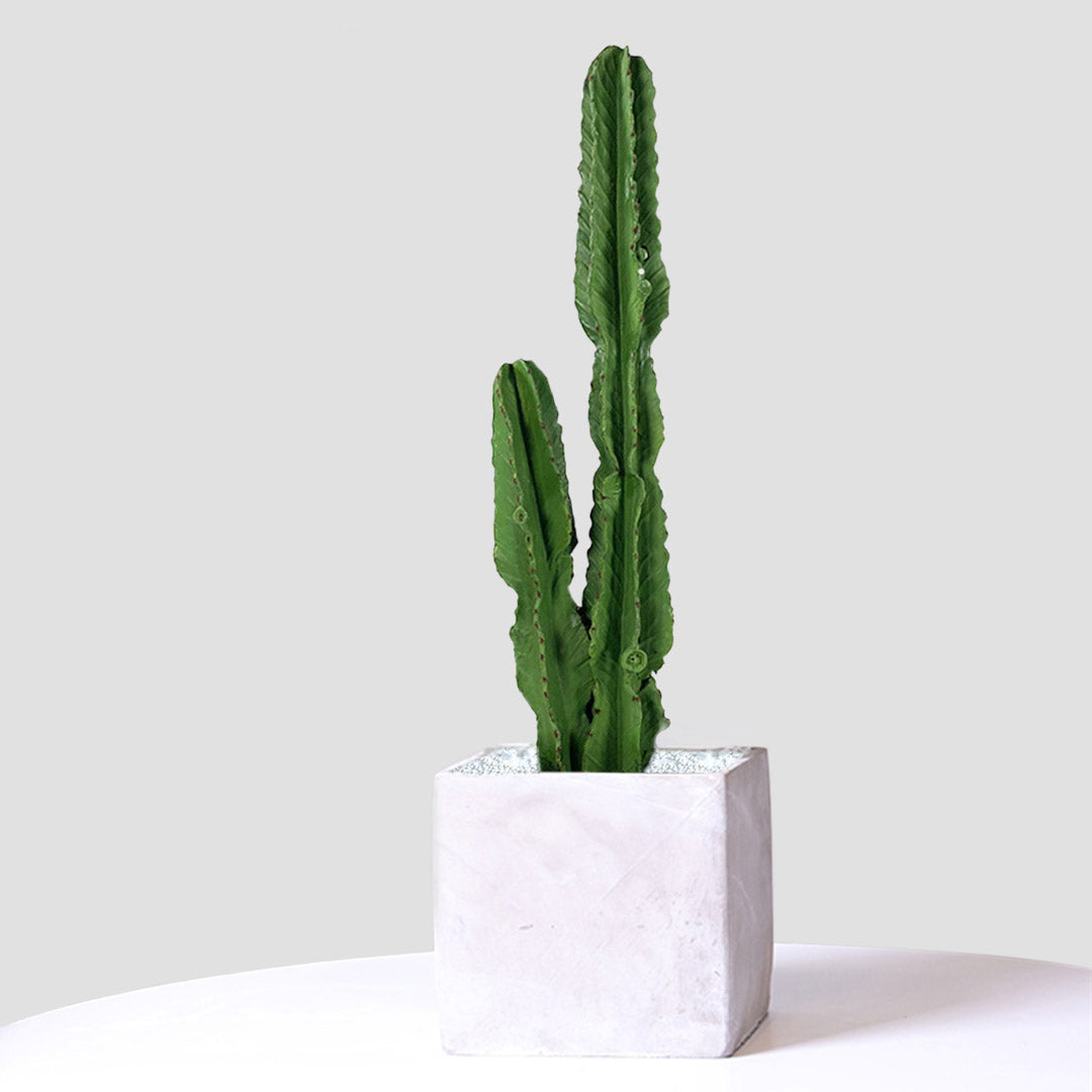 SOGA 4X 95cm Green Artificial Indoor Cactus Tree Fake Plant Simulation Decorative 2 Heads