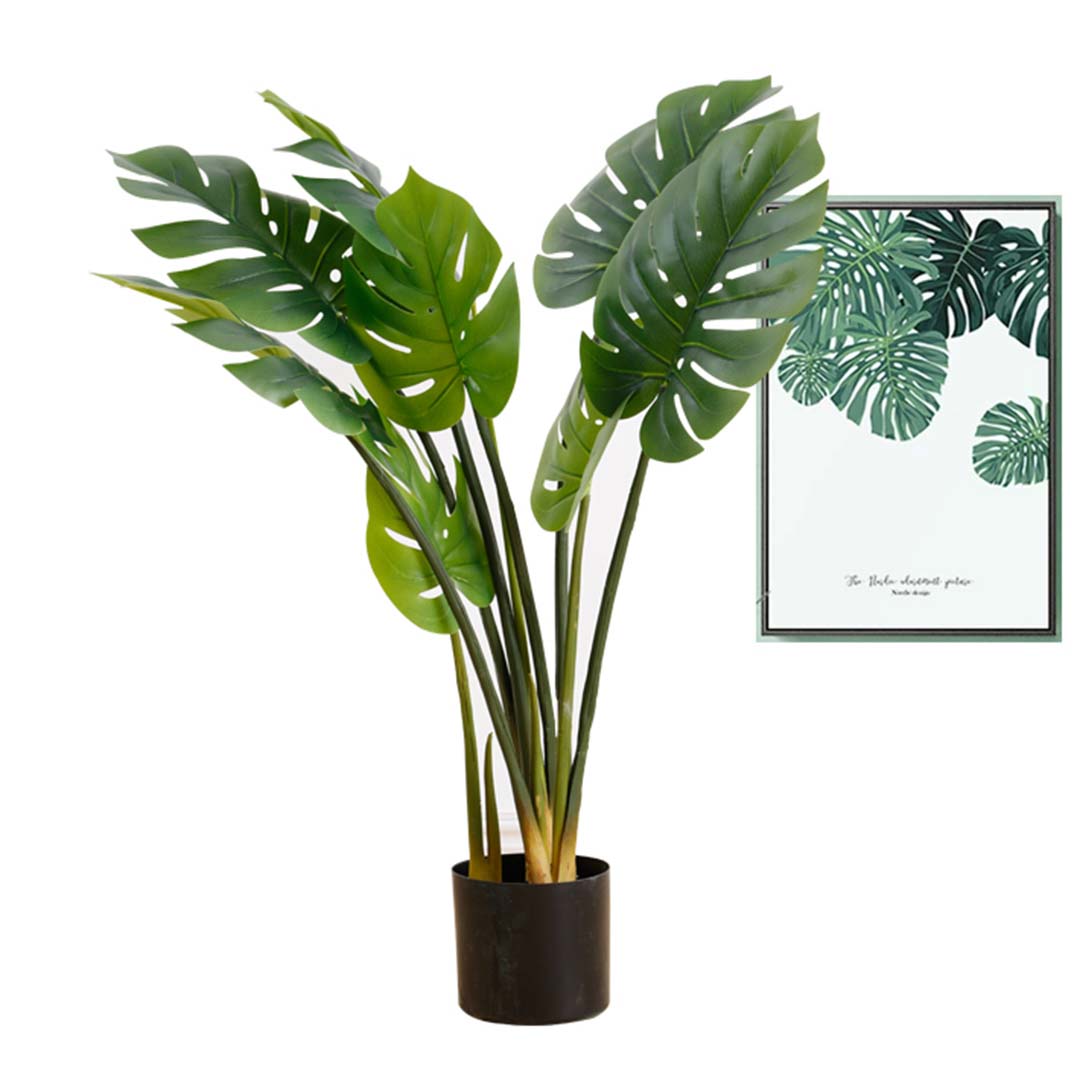 Turtle Back Artificial Plant