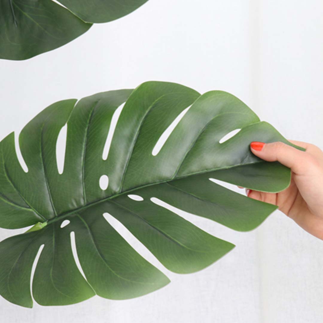 Turtle Back Artificial Plant