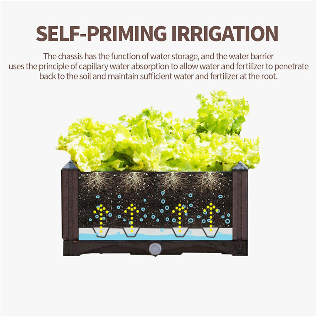 Raised Planter Box