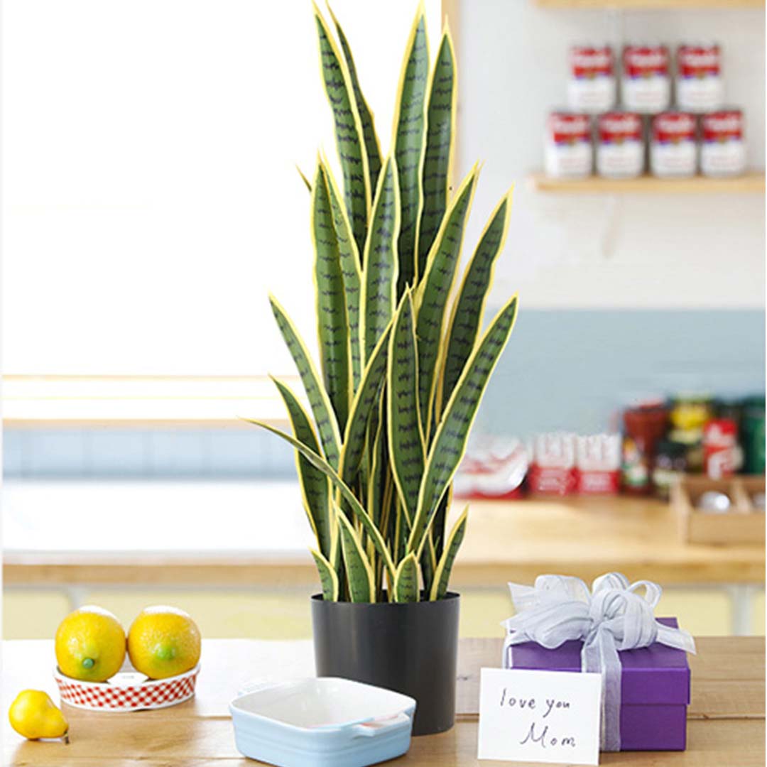 SOGA 4X 70cm Artificial Indoor Yellow Edge Tiger Piran Fake Decoration Tree Flower Pot Plant