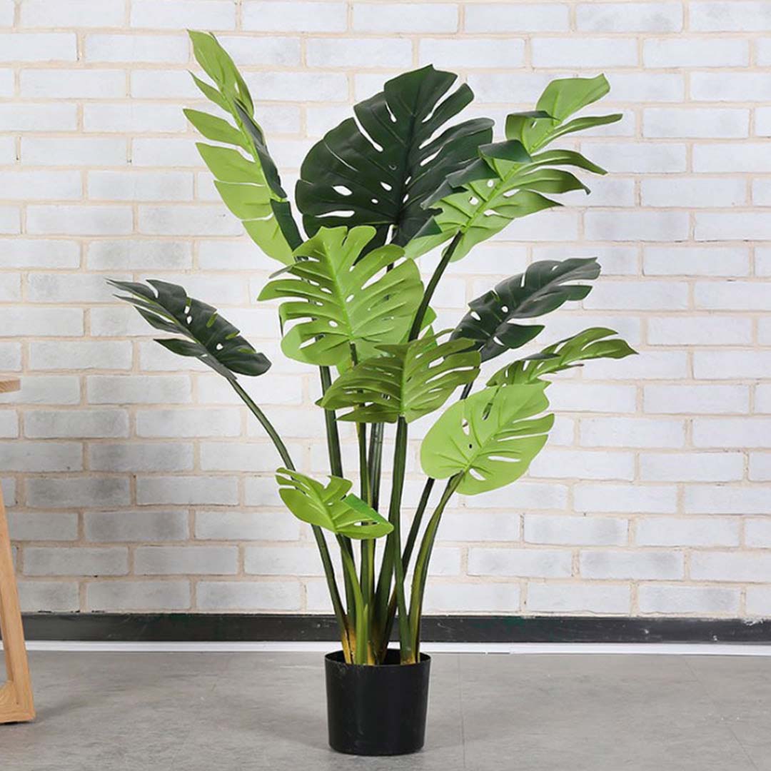 Turtle Back Artificial Plant