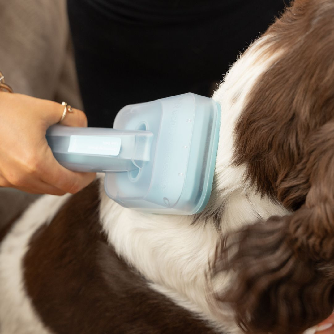 5-in-1 Pet Grooming Kit