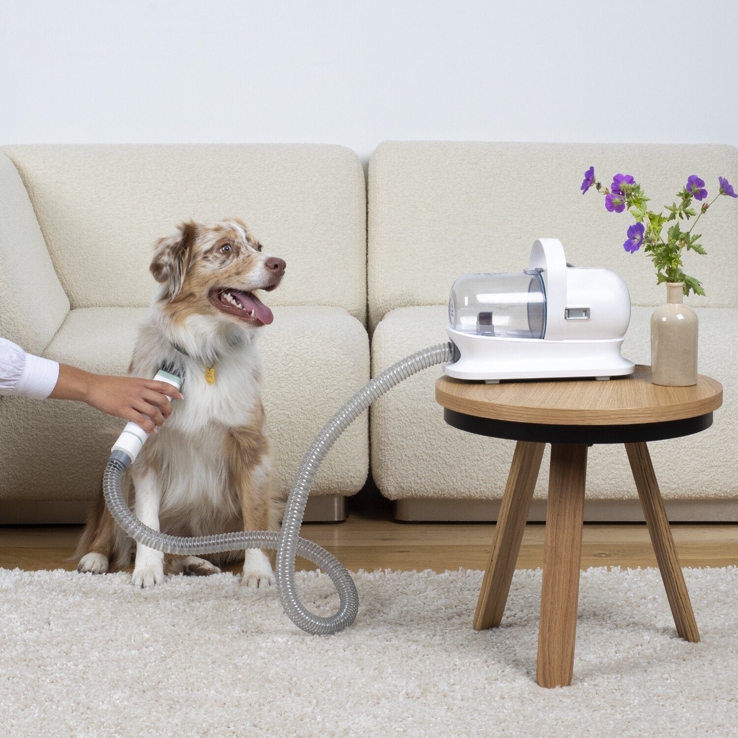 5-in-1 Pet Grooming Kit