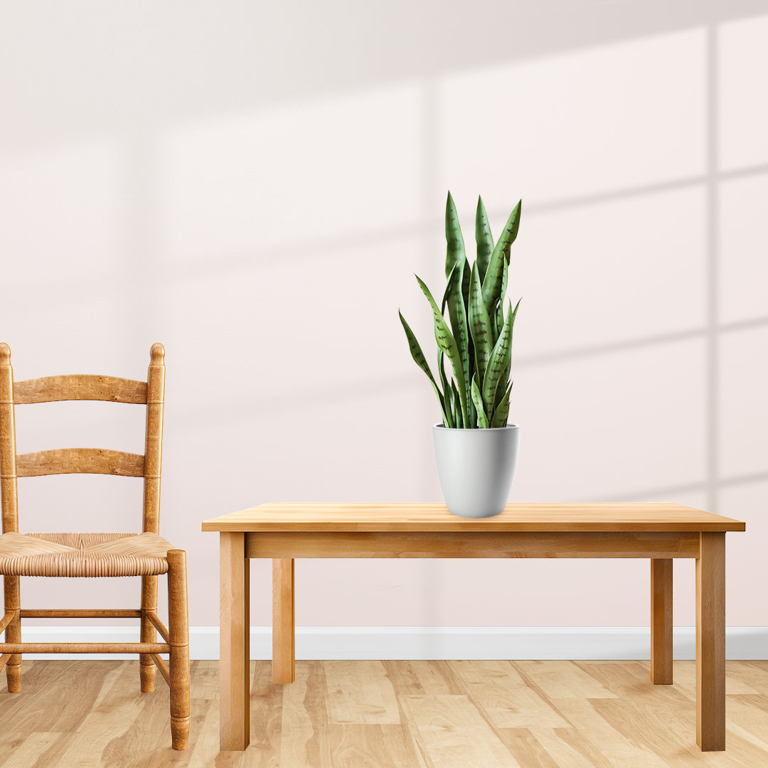 SOGA 4X 97cm Sansevieria Snake Artificial Plants with Black Plastic Planter Greenery, Home Office Decor