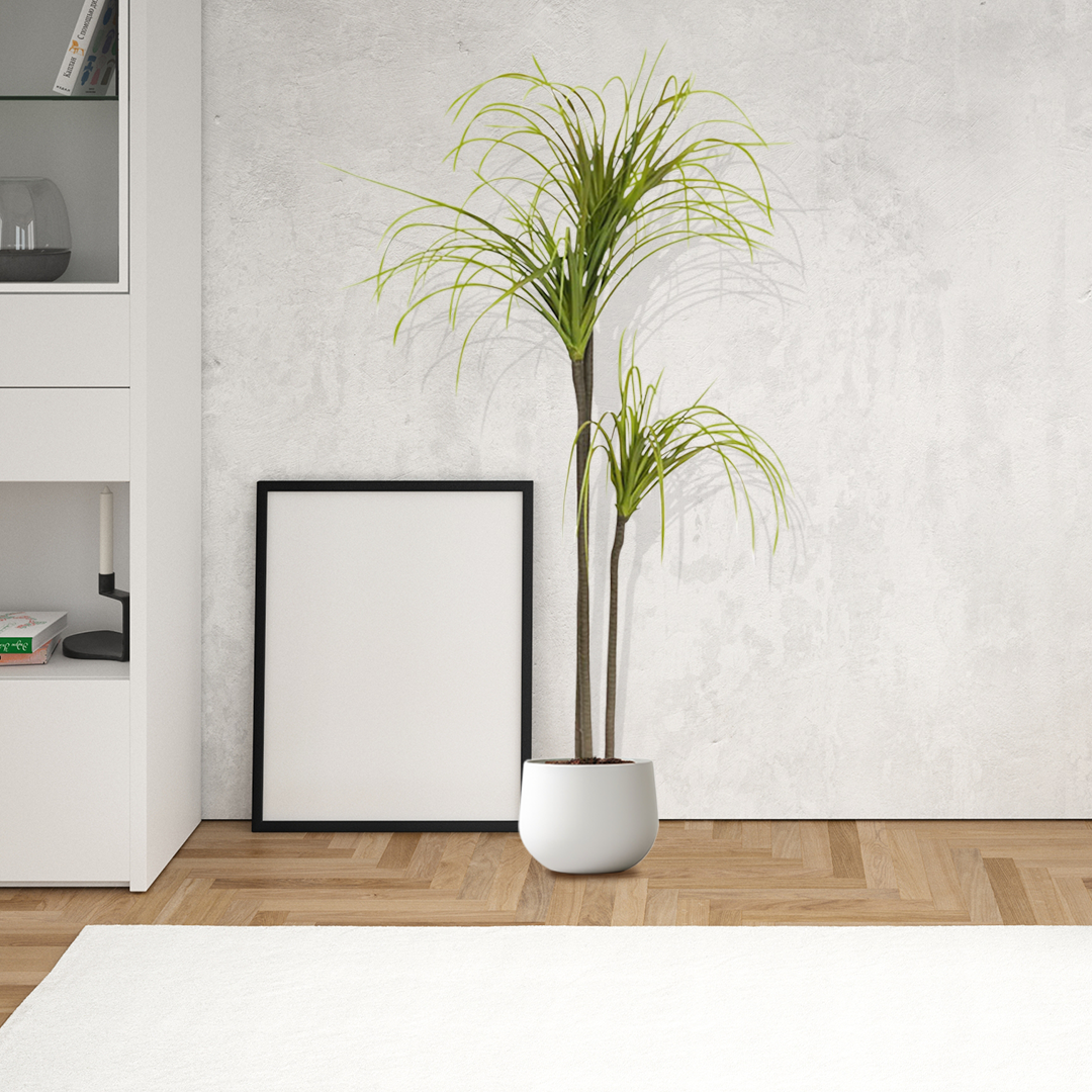 Artificial Dracaena Plant