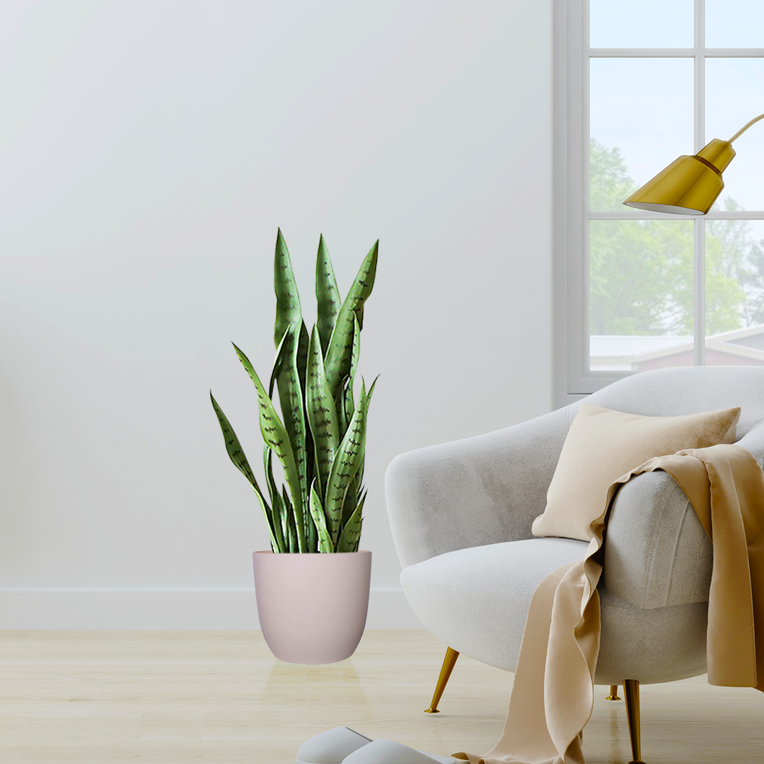 SOGA 4X 97cm Sansevieria Snake Artificial Plants with Black Plastic Planter Greenery, Home Office Decor