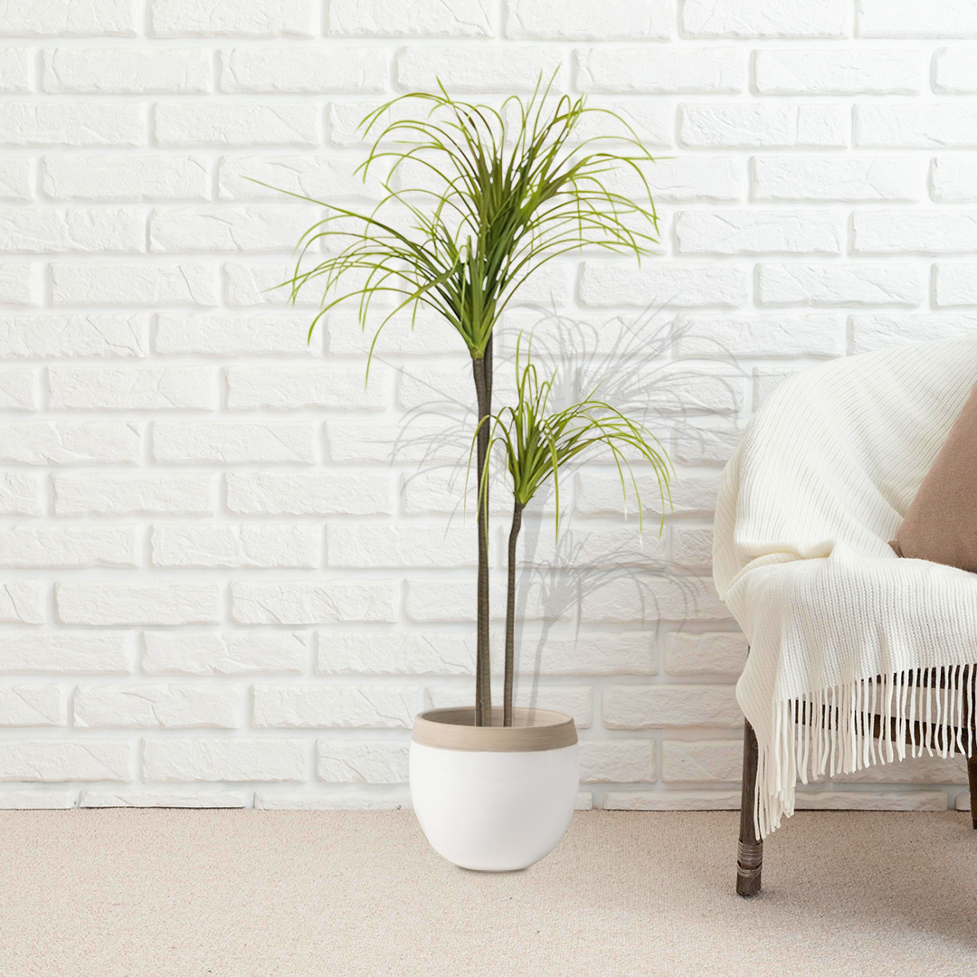 Artificial Dracaena Plant