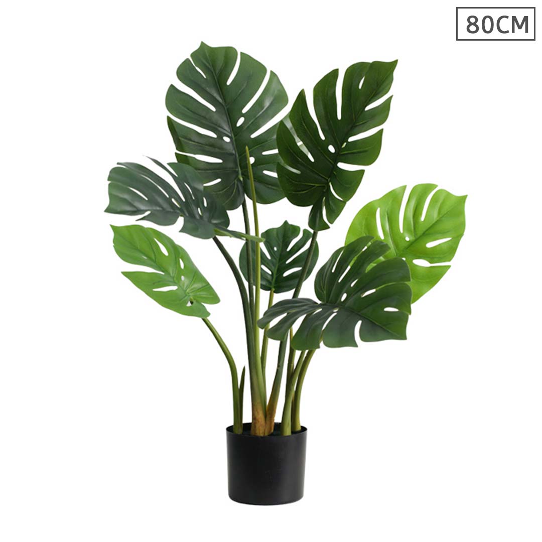 Turtle Back Artificial Plant