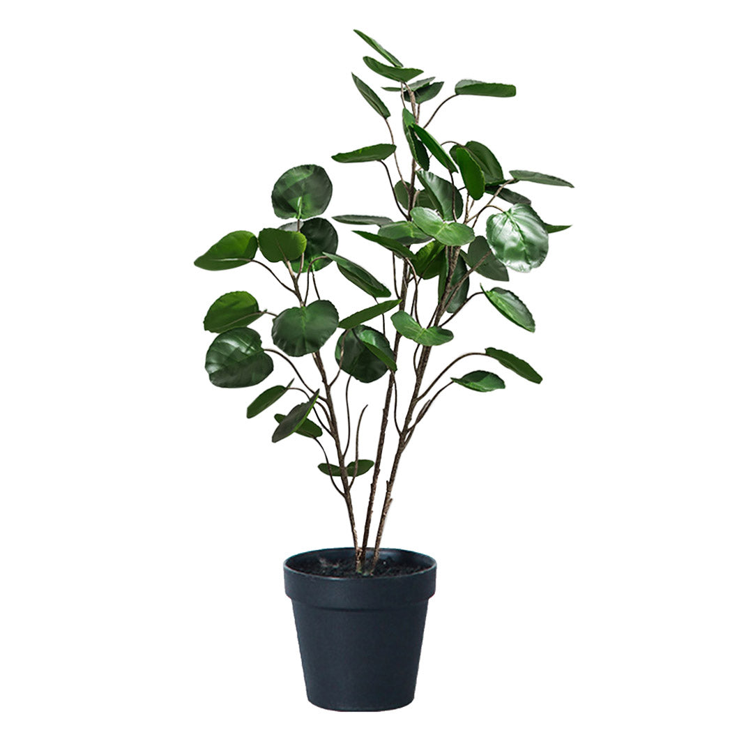 Artificial Polyscias Scutellaria Plant