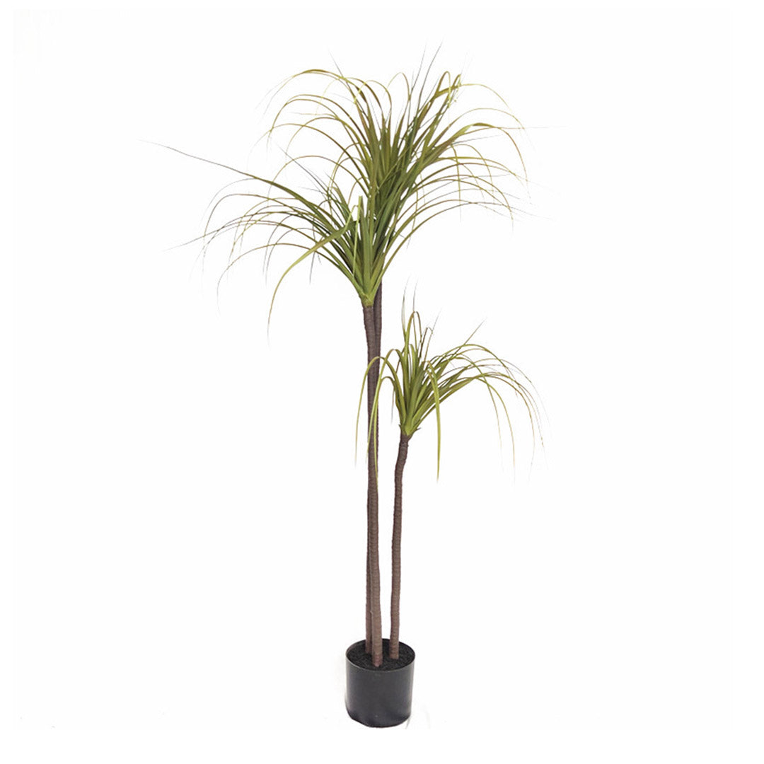 Artificial Dracaena Plant