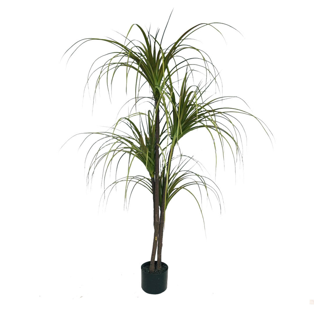 Artificial Dracaena Plant