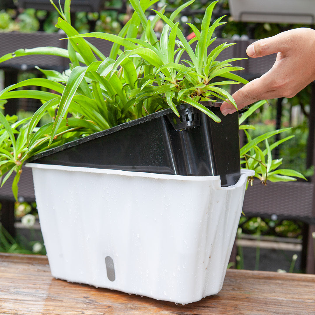 White Flowerpot