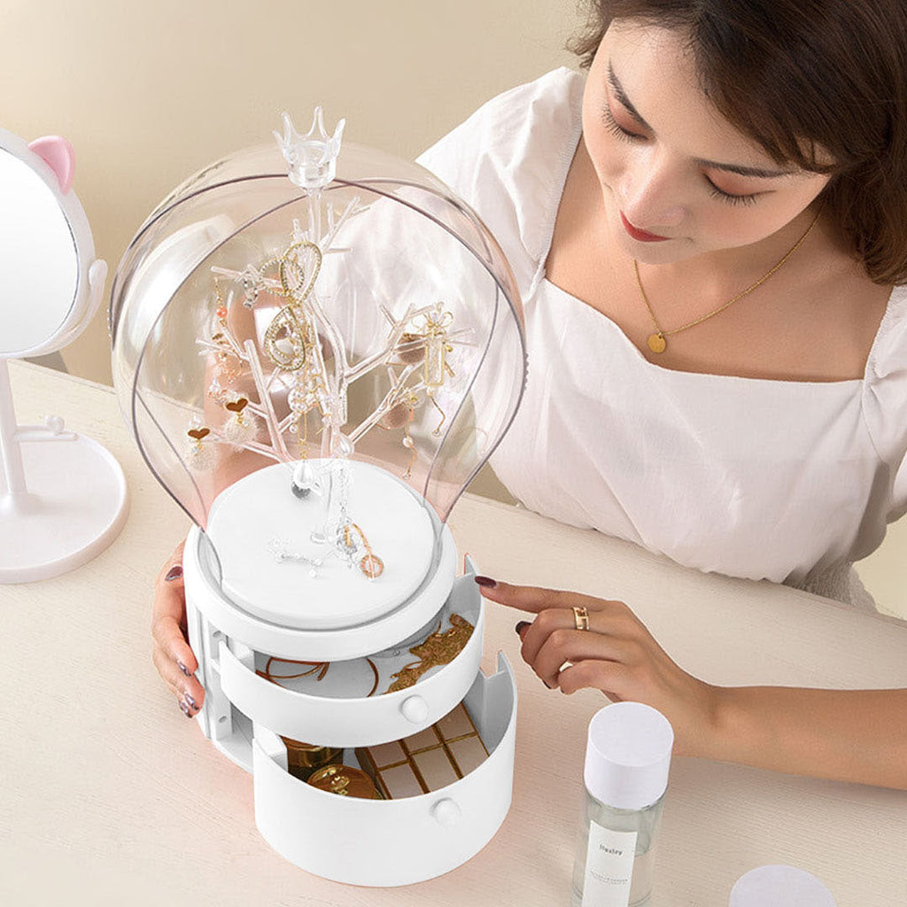 Jewelry Storage Organiser