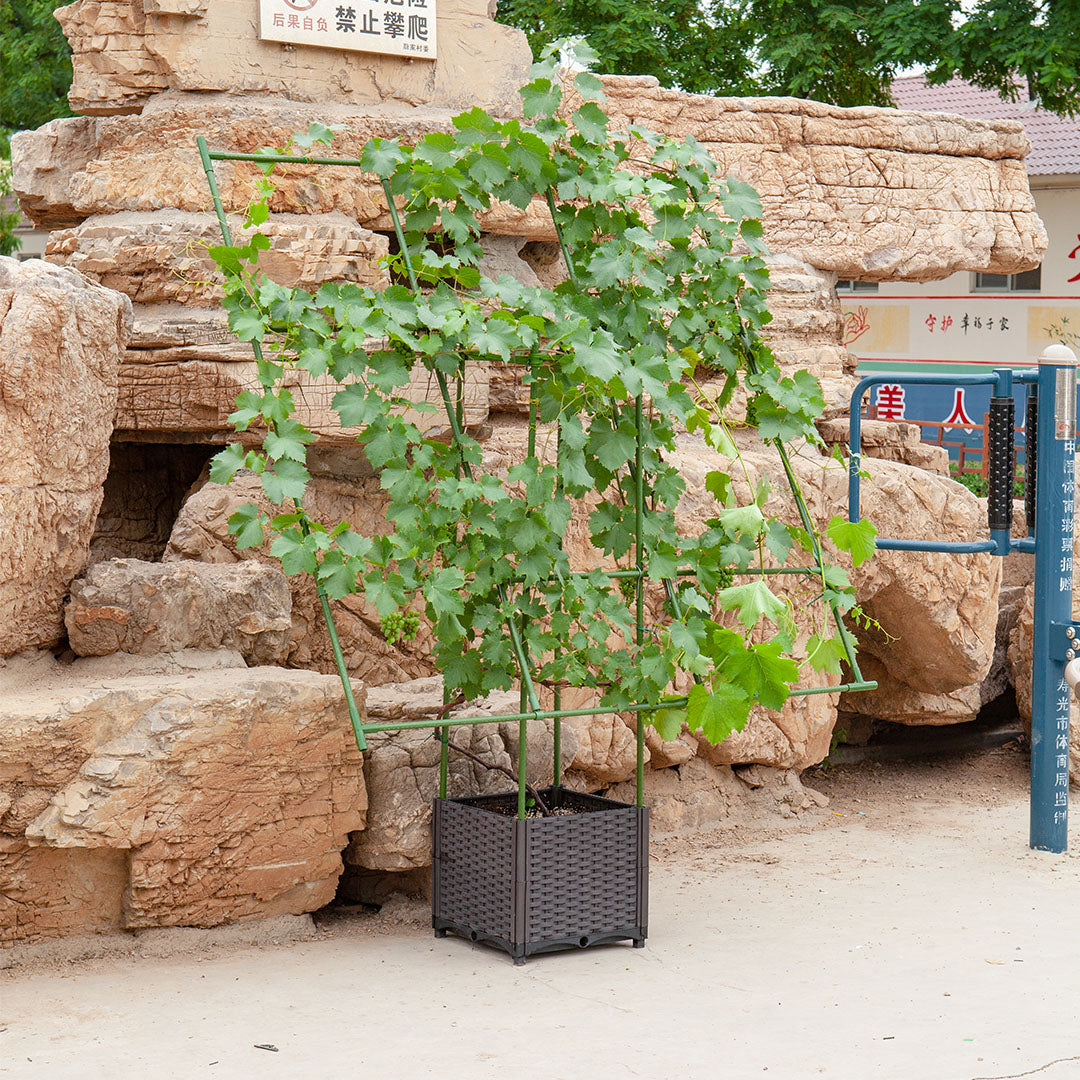 Inclined Plant Frame Tube