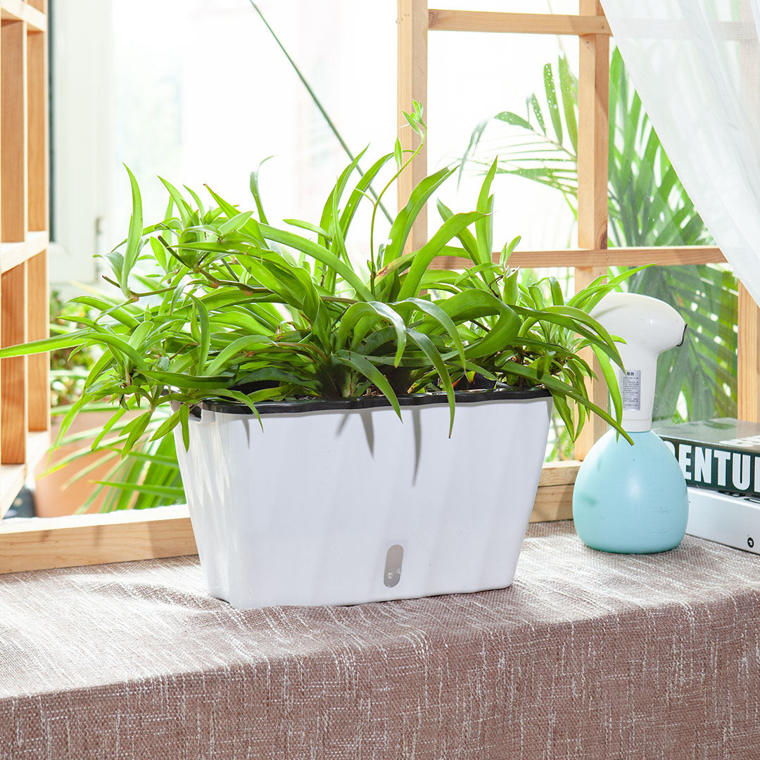 White Flowerpot