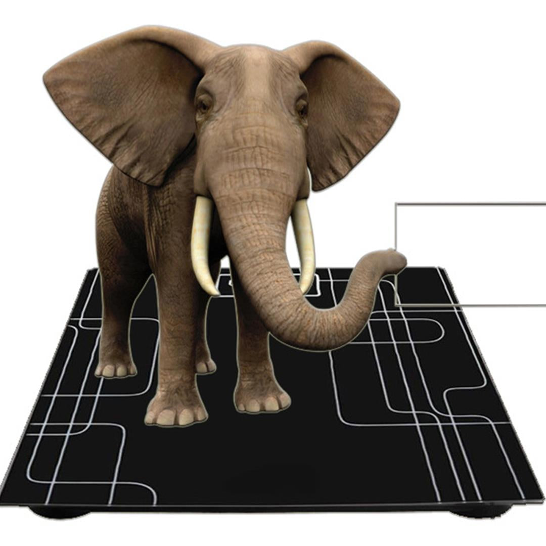 Electronic Talking Scale