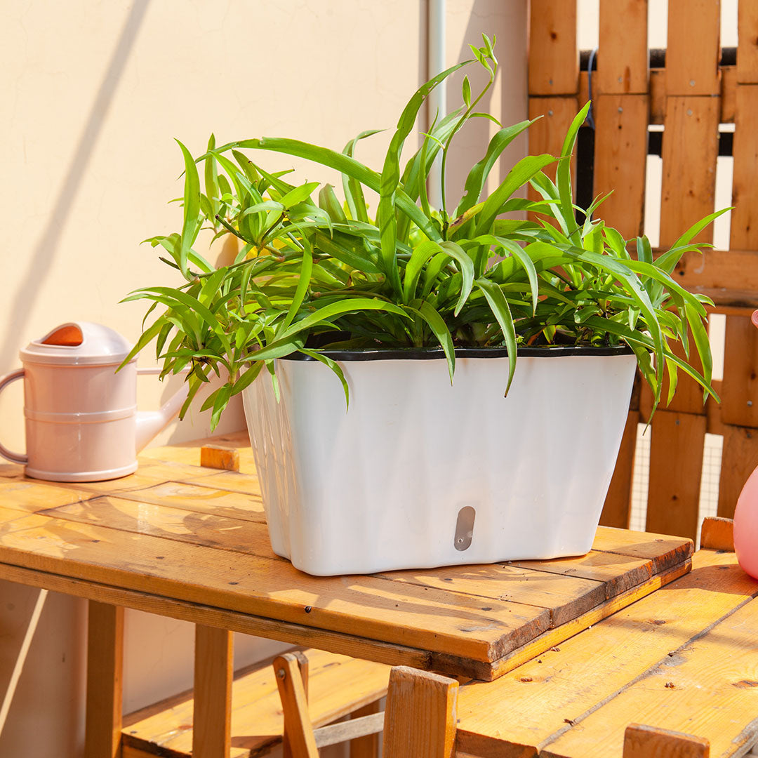 White Flowerpot