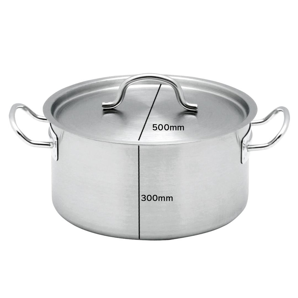 Stainless Steel Wide Stockpot
