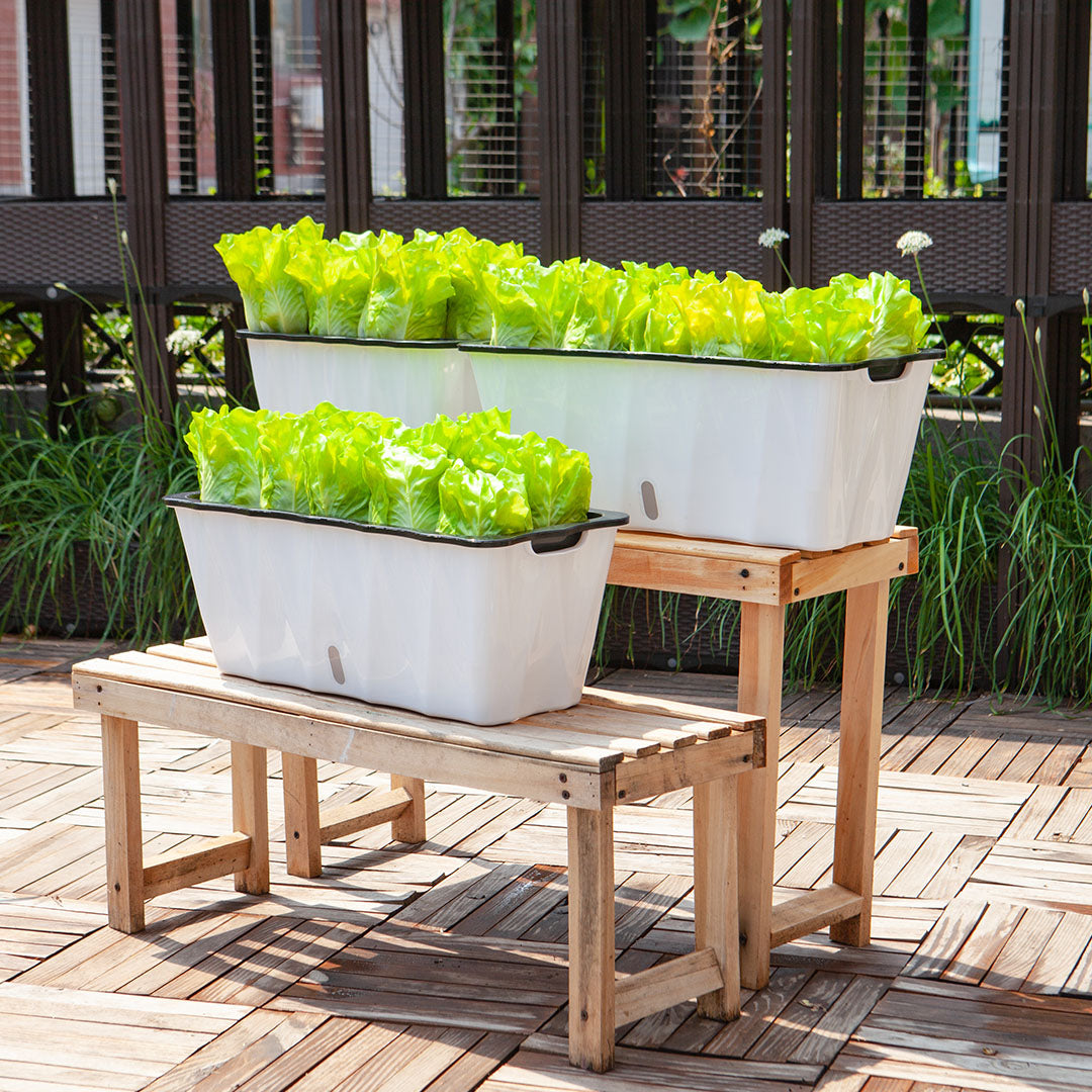 White Flowerpot