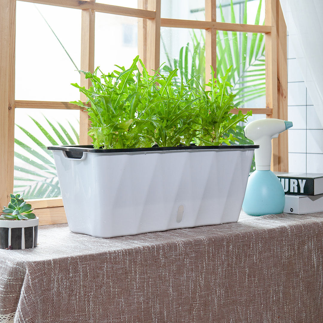 White Flowerpot