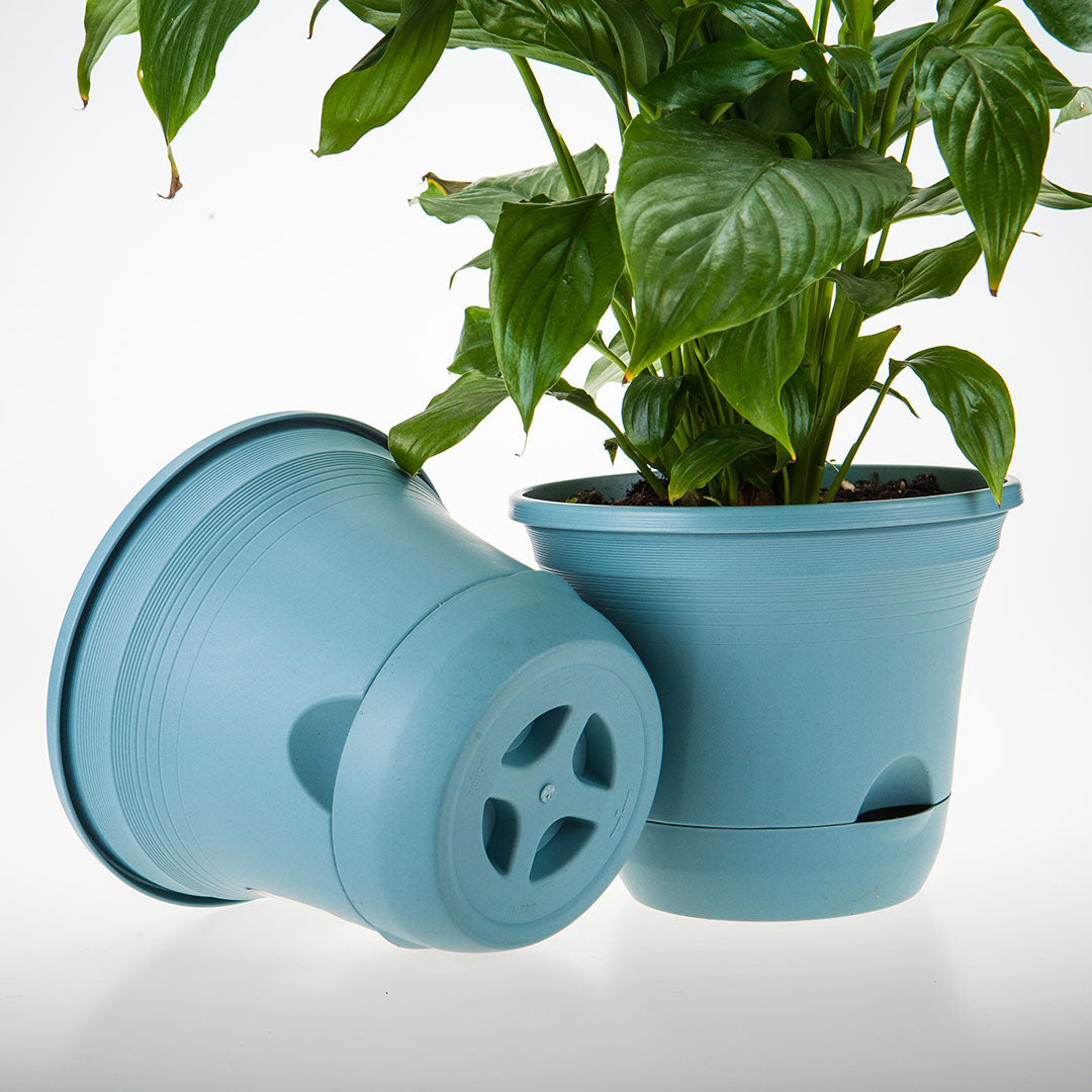 Plastic Plant Pot