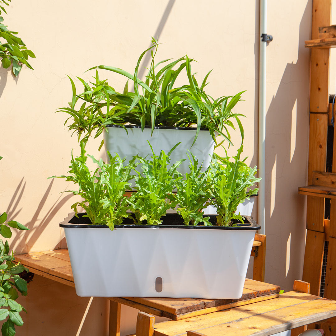 White Flowerpot