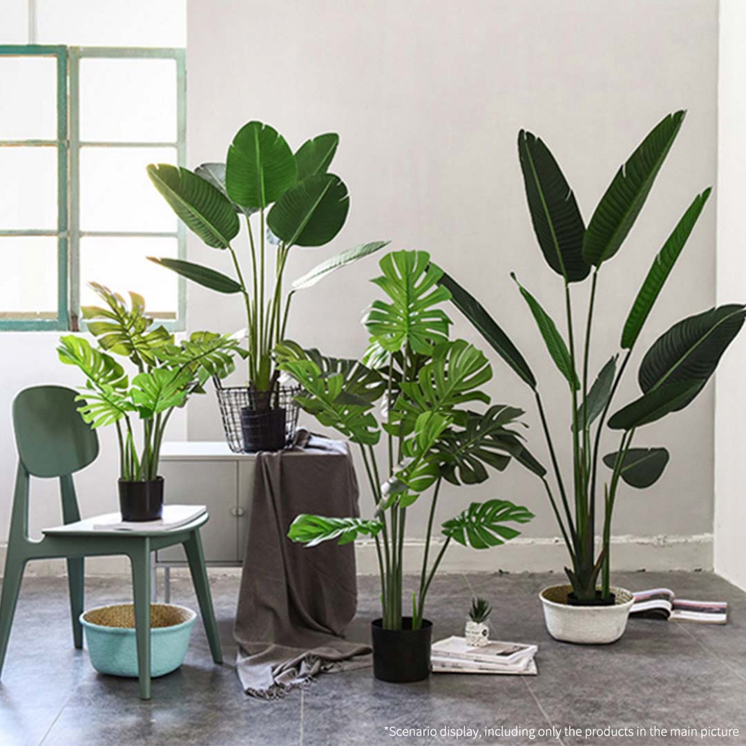 Turtle Back Artificial Plant