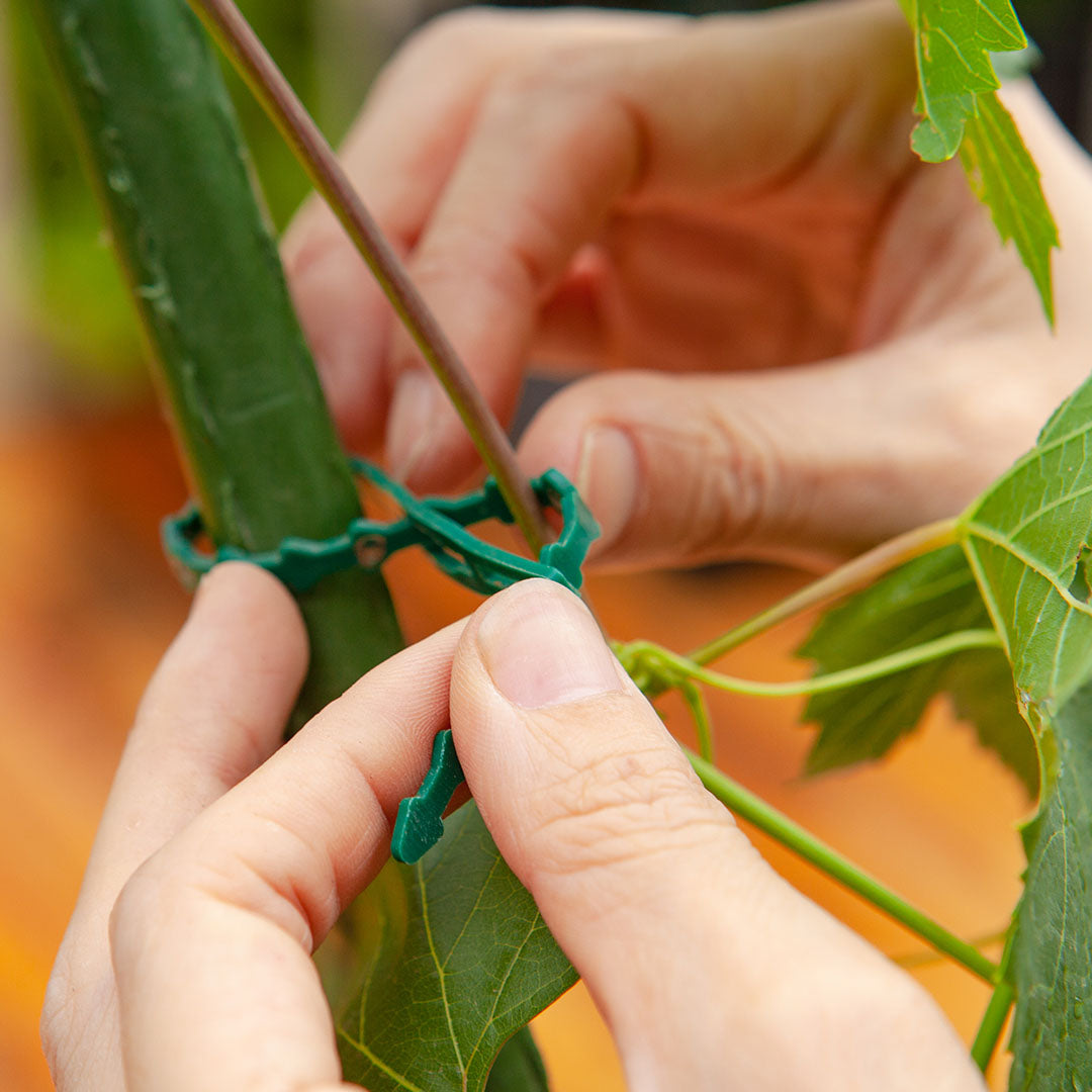 Inclined Plant Frame Tube