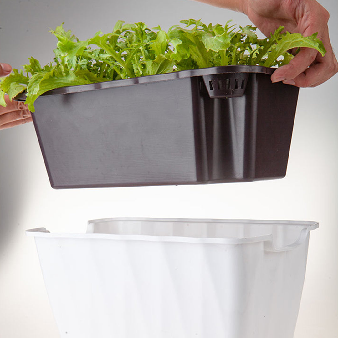 White Flowerpot