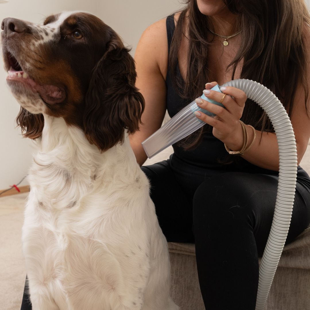 5-in-1 Pet Grooming Kit