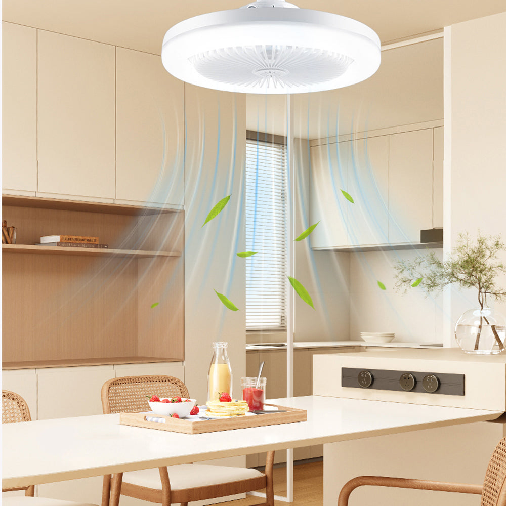 Smart Ceiling Fan Light
