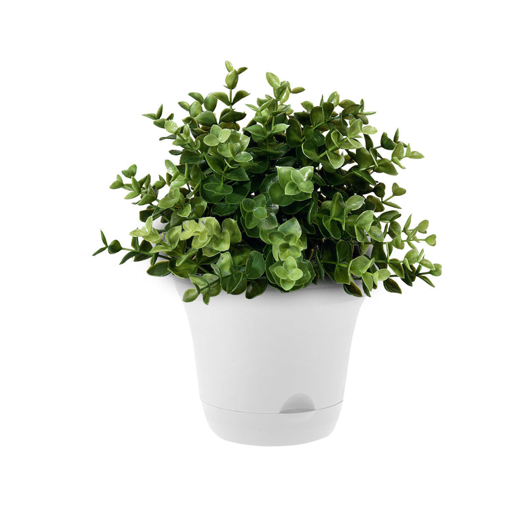 Plastic Plant Pot