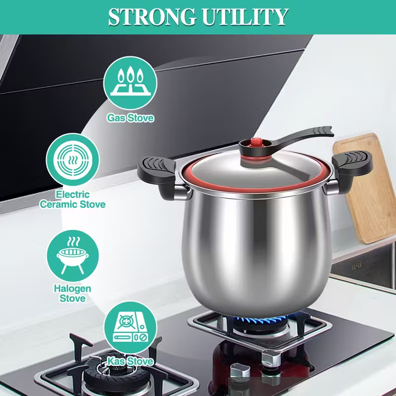 Stainless Steel Micro Pressure Cooker