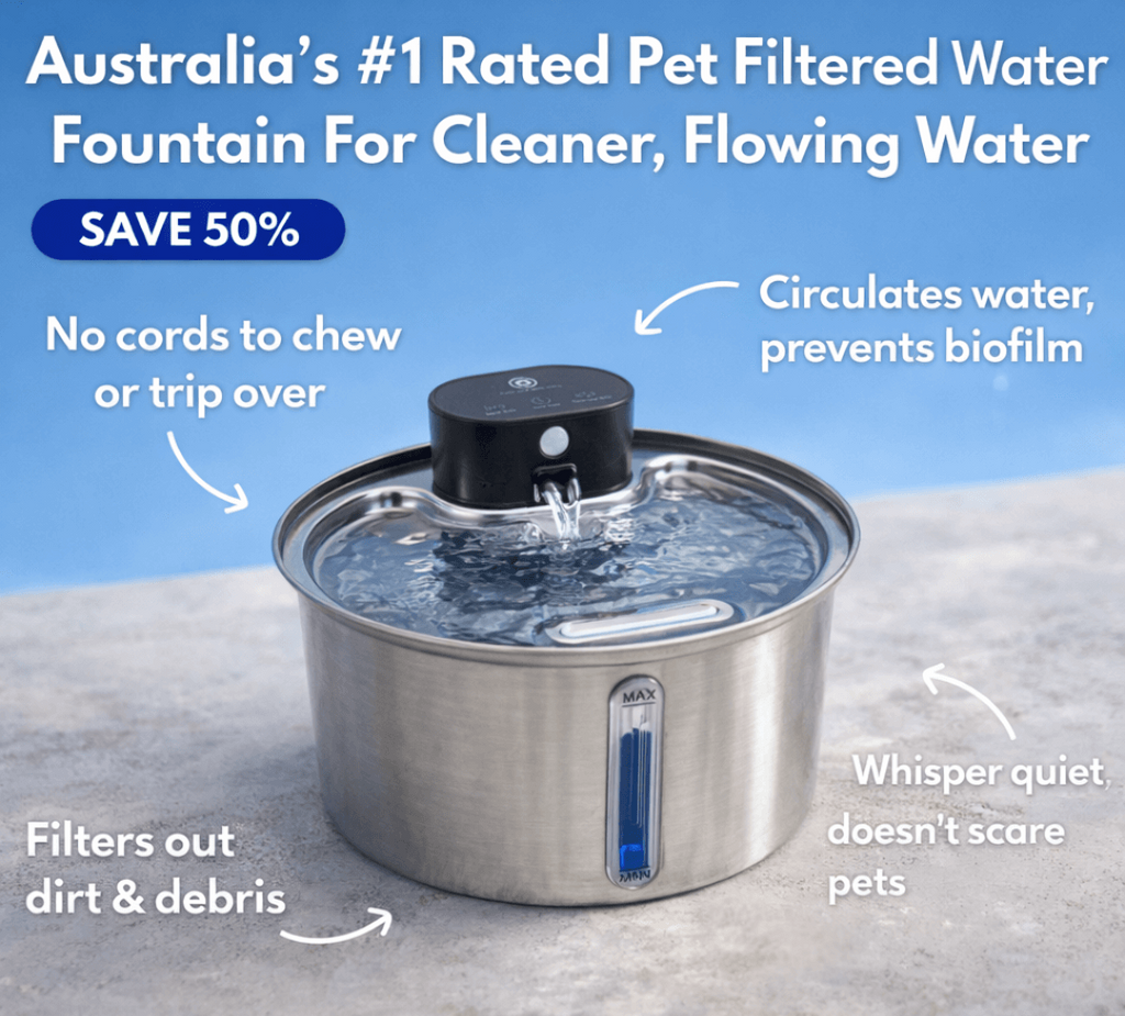 Filtered Water Fountain