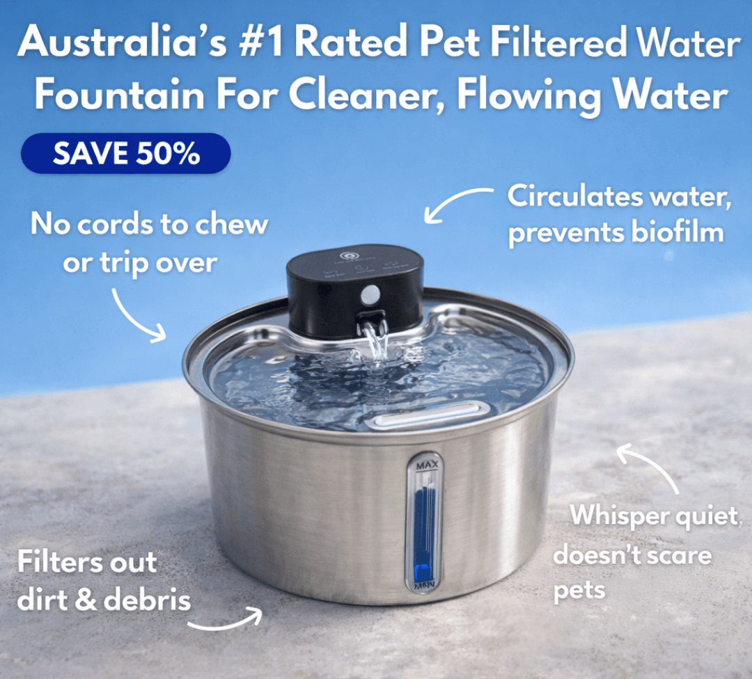Filtered Water Fountain