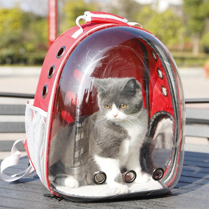 Outdoor Pet Carrier Backpack