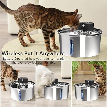 Filtered Water Fountain