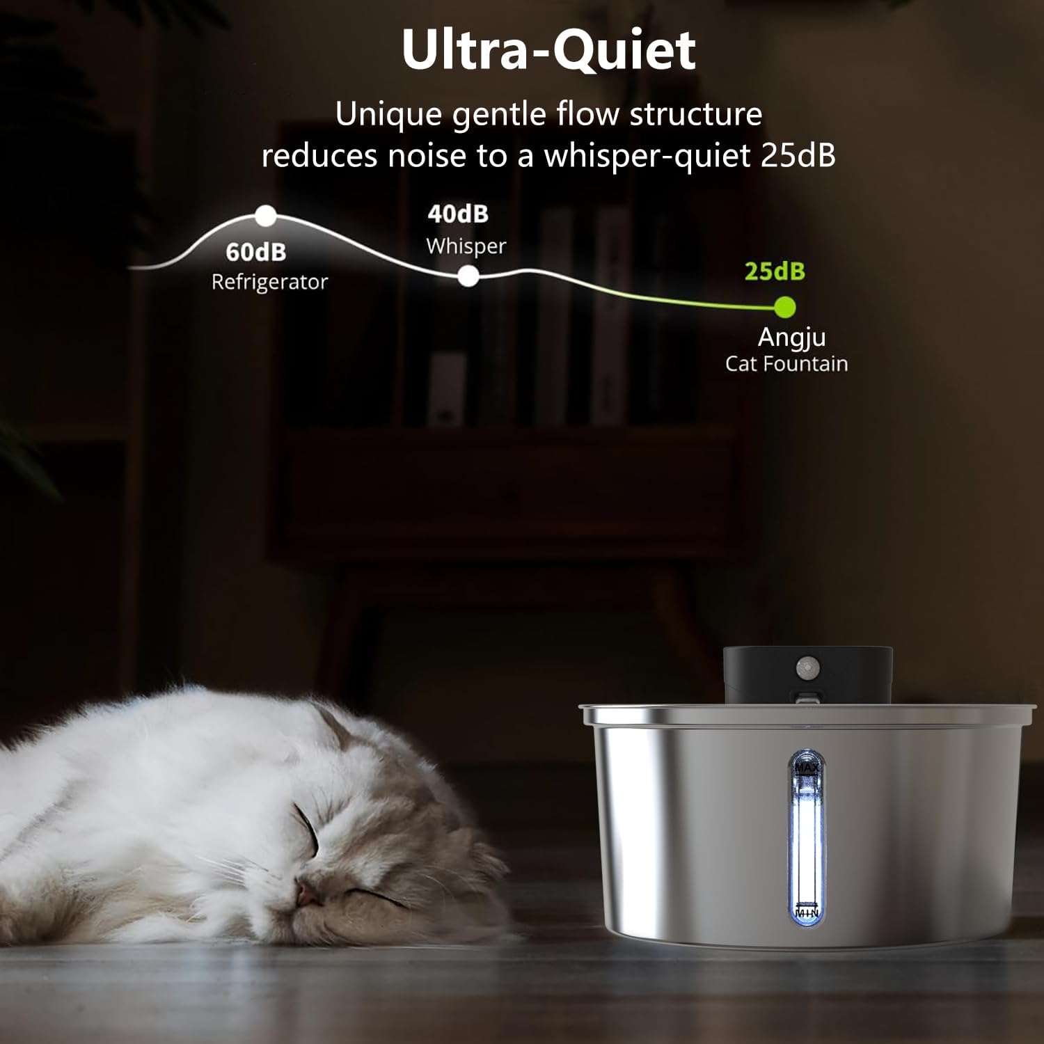 Filtered Water Fountain