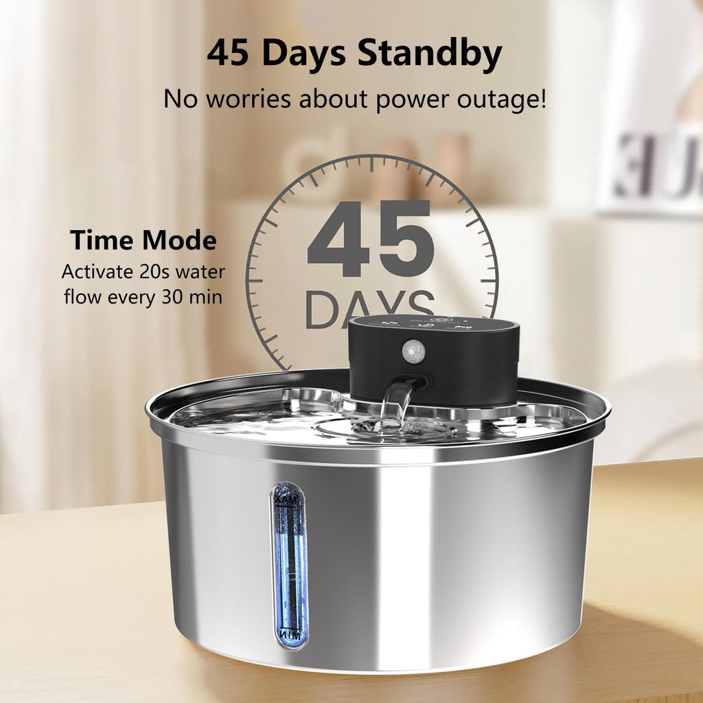 Filtered Water Fountain