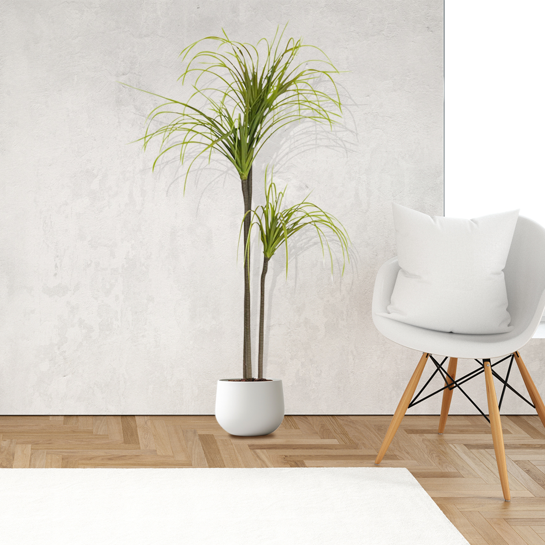 Artificial Dracaena Plant