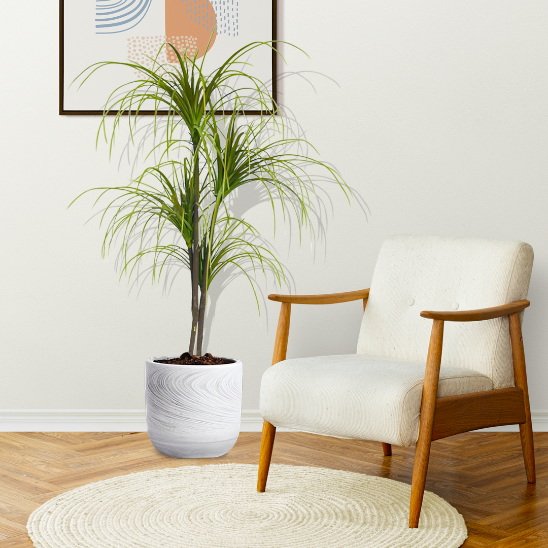 Artificial Dracaena Plant