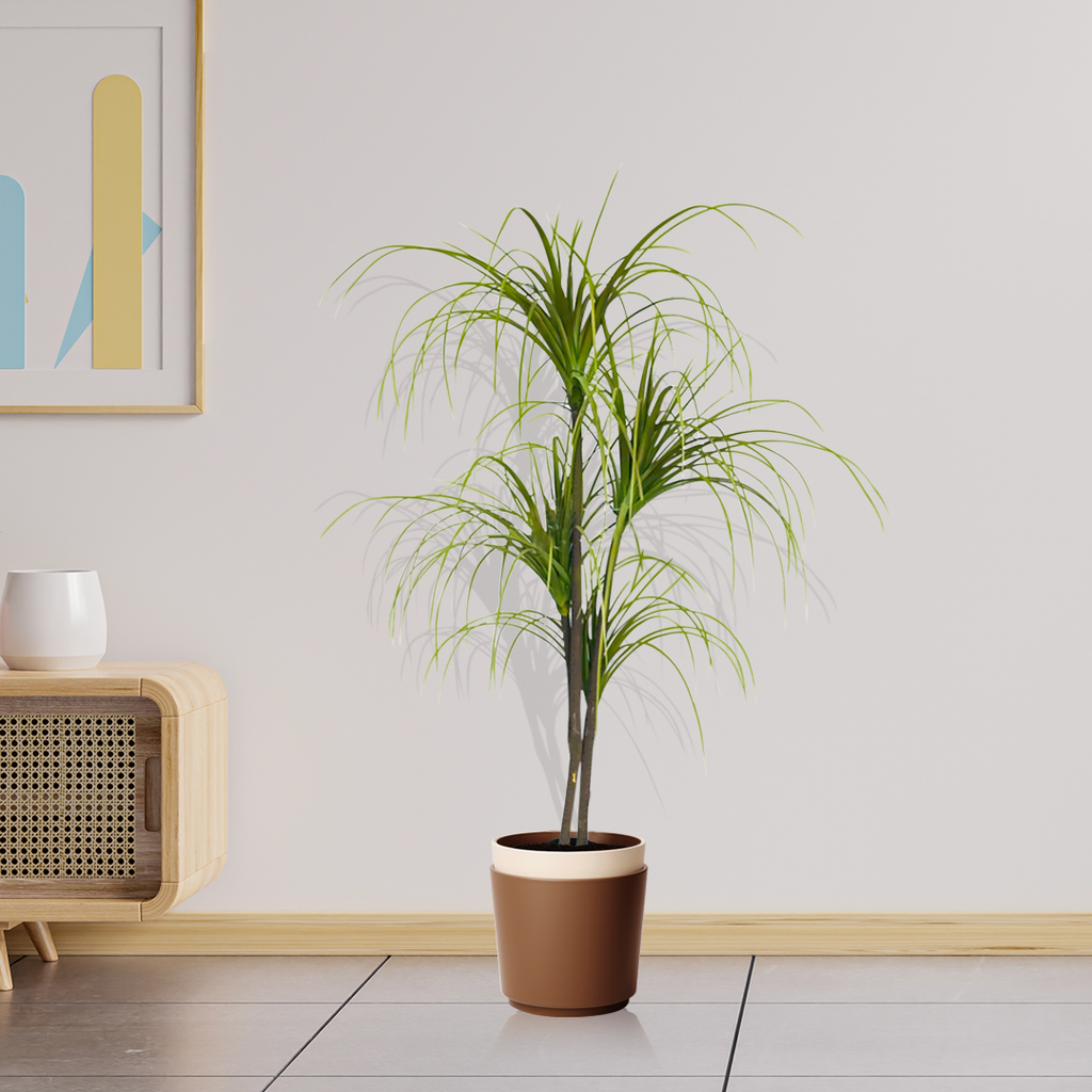 Artificial Dracaena Plant