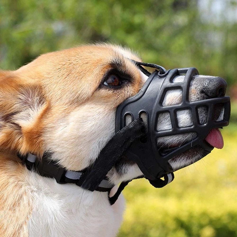 Silicone Muzzle Cage
