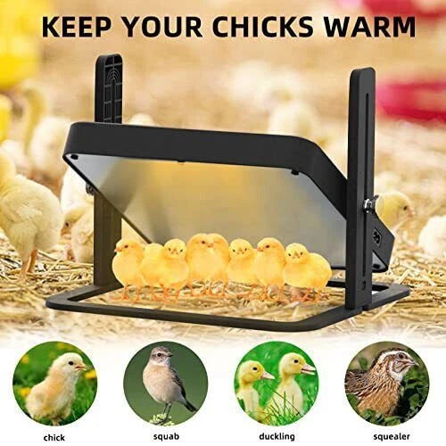 Chick Heating Plate