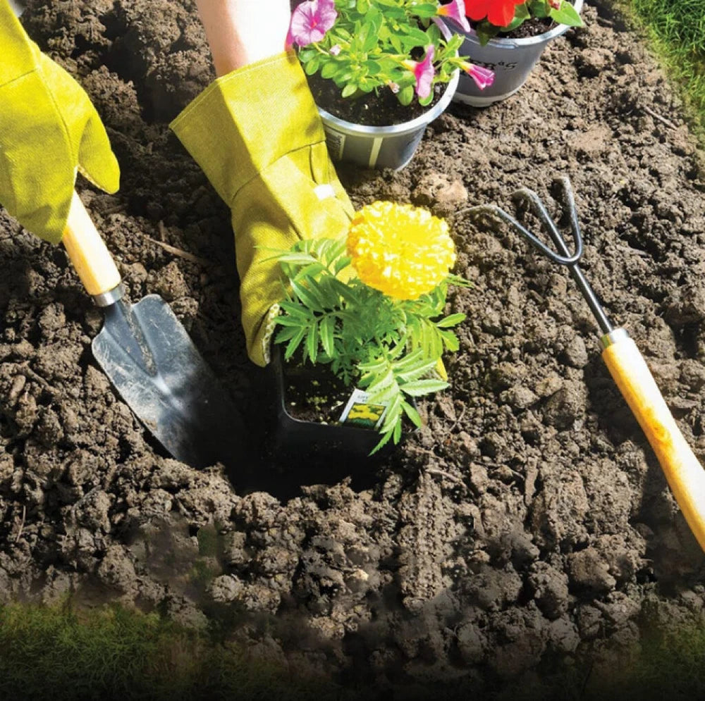 Garden Tool Set (10 Pcs)