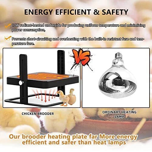 Chick Heating Plate