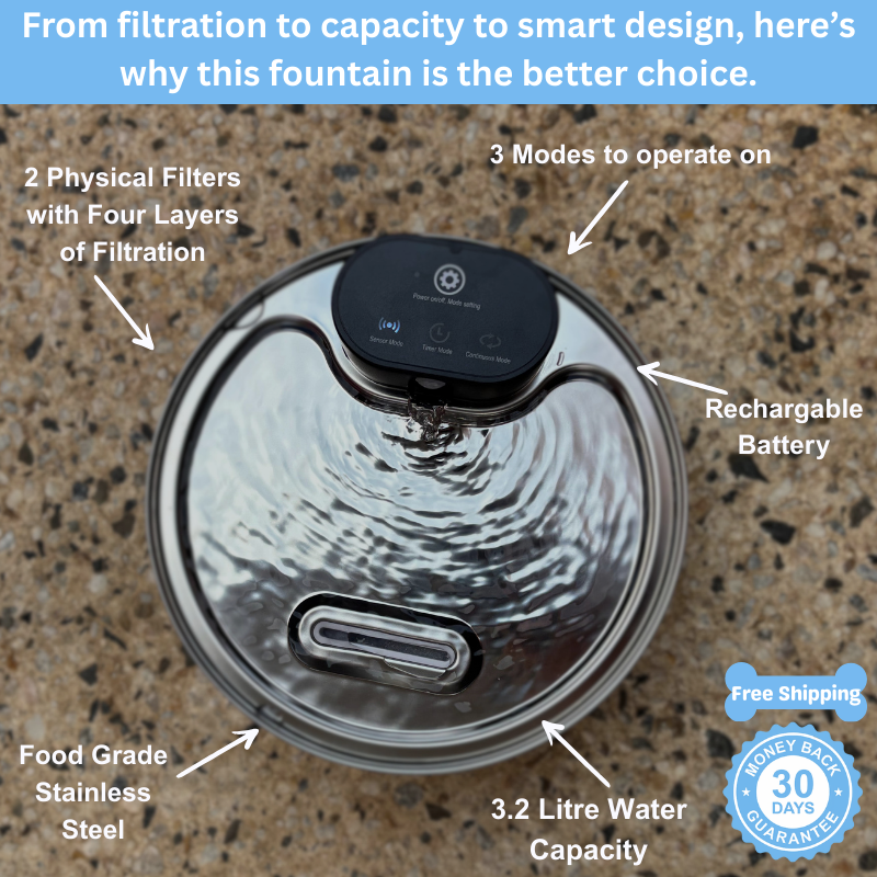 Filtered Water Fountain